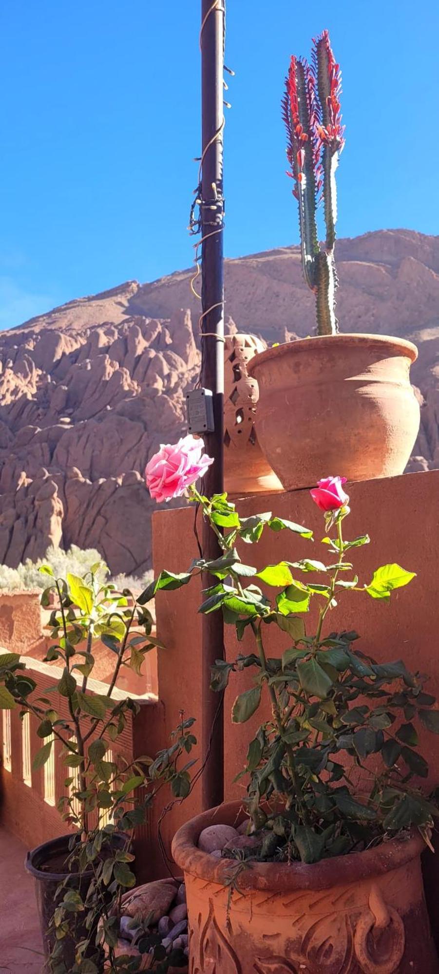 Tafsut Dades Guesthouse Stay With Locals Tamellalt  Екстер'єр фото